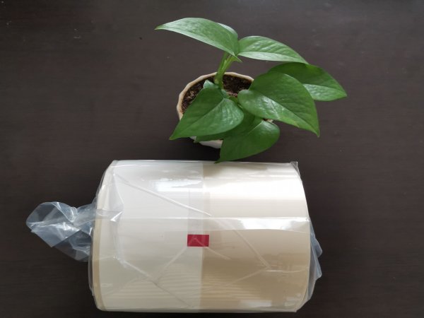 <b>油墨引起的化學反應(yīng)對可降解藥品包裝膜的影響</b>